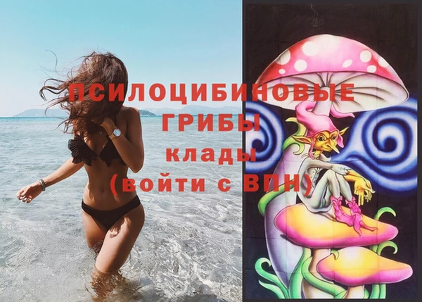 первитин Абинск