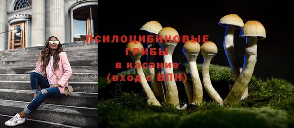 метадон Алексеевка